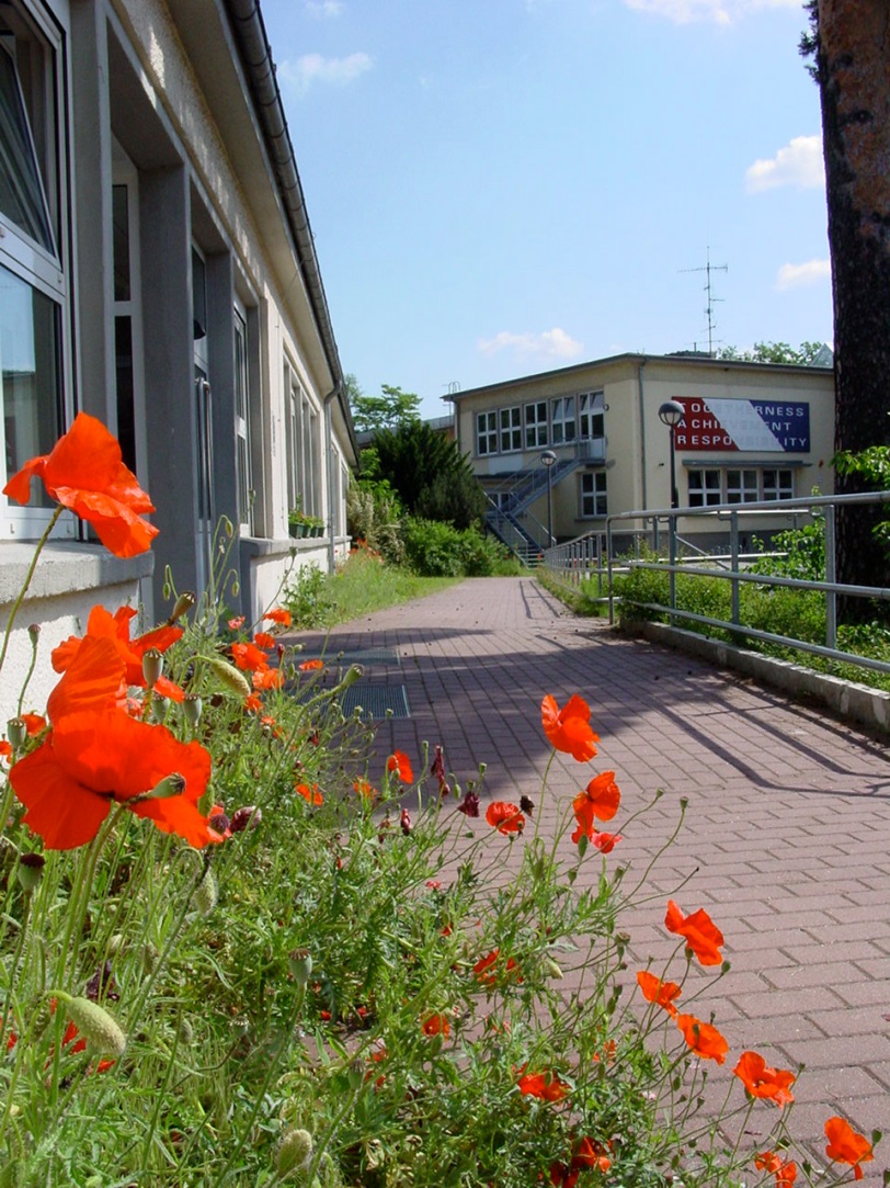 Schule