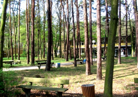 Wald